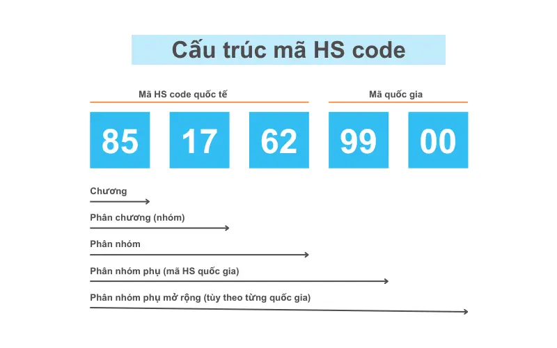Cấu trúc mã HS Code