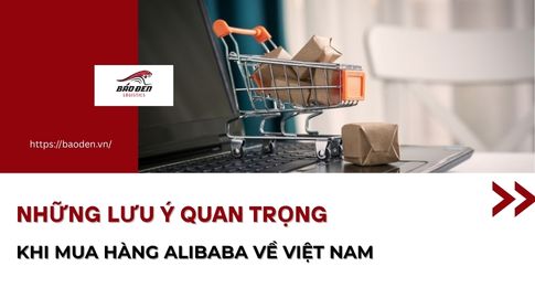 NHỮNG LƯU Ý QUAN TRỌNG KHI MUA HÀNG ALIBABA VỀ VIỆT NAM 37 Thumnail website 5 1